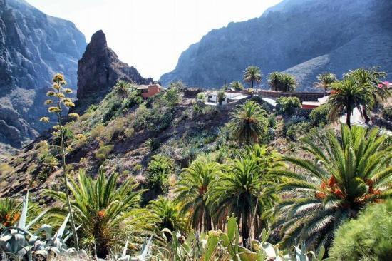 Marody Tenerife House El Médano Zewnętrze zdjęcie